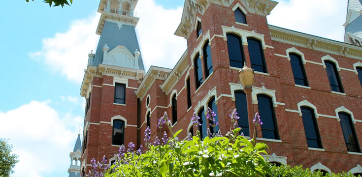 在线手机号轰炸机